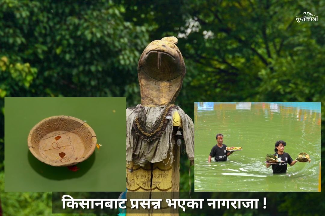 हाय गर्मी ! शितलताको खोजिमा नागराज
