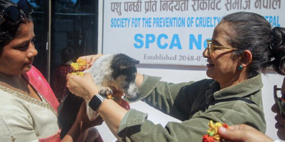 मनिषा कोईरालाले मनाईन् सहारा विहीन कुकुरसँग तिहार ! (फोटो कथा)
