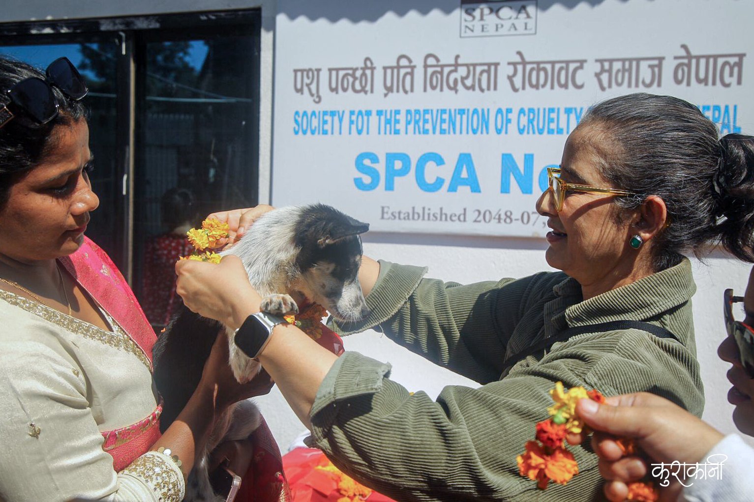 मनिषा कोईरालाले मनाईन् सहारा विहीन कुकुरसँग तिहार ! (फोटो कथा)