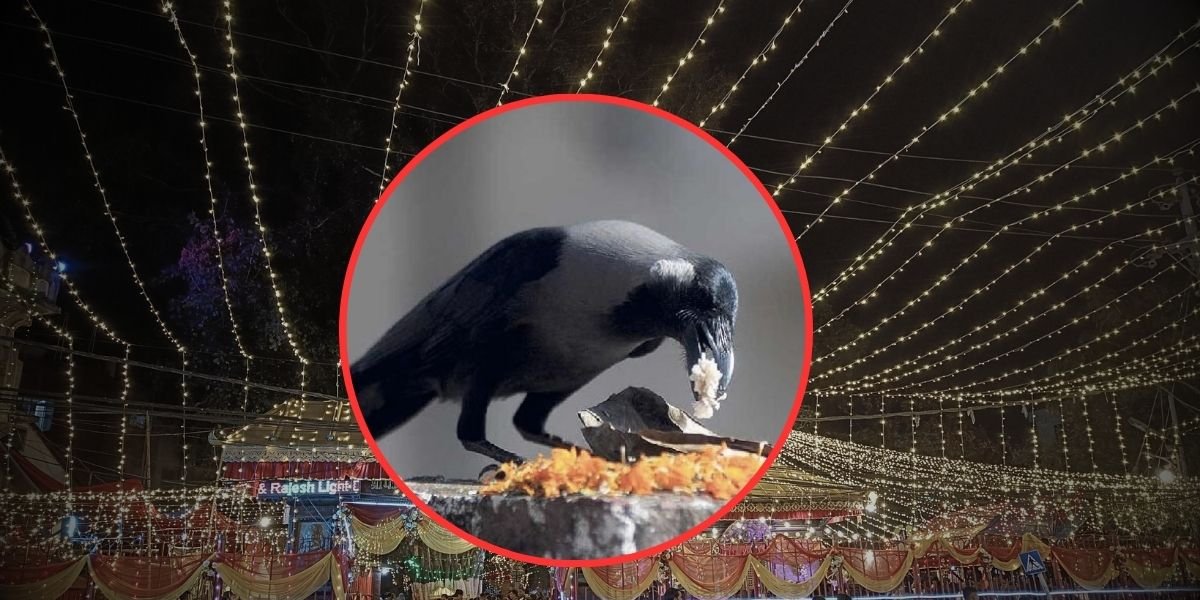 कागलाई खुसी पार्न दहि भात खुवाउने दिन !
