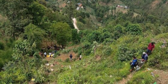 बीपी राजमार्गको बुच्चाकोटमा यात्रुवाहक बस दुर्घटना, ७ जनाको मृत्यु