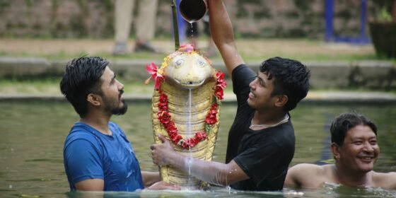 नागपञ्चमीमा भक्तपुरको नागपोखरीमा दूधले अभिषेक, घरघरमा टाँसियो नागको तस्बिर