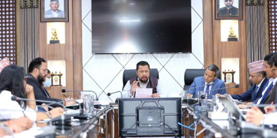 निजी क्षेत्रलाई विद्युत् व्यापारमा सहभागी गराउन ह्वीलिङ चार्ज निर्धारण